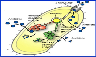 Microcare Lab Pathogenic Micro Organisms